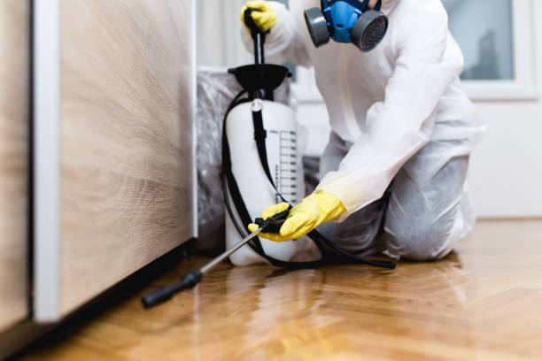 Best Insect Control  in Mount Pleasant, IA
