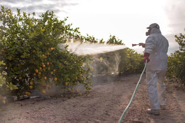 Best Best Pest Control Companies  in Mount Pleasant, IA