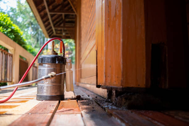 Best Best Pest Control Companies  in Mount Pleasant, IA