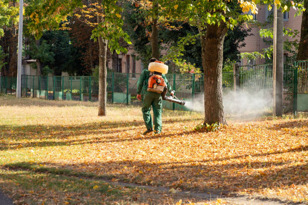 Mount Pleasant, IA Pest Control Company
