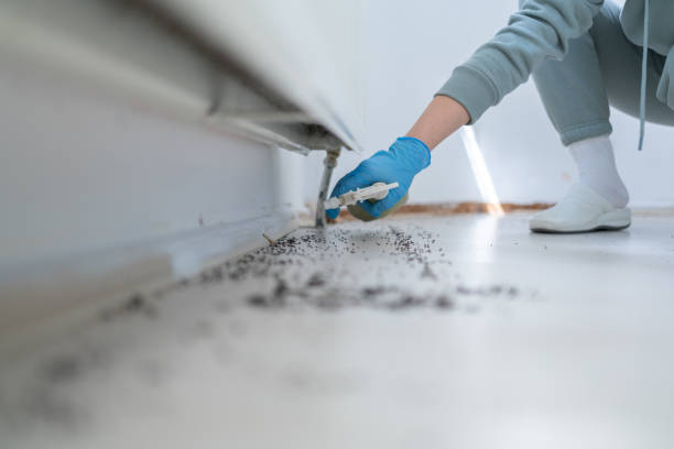 Bird Control in Mount Pleasant, IA