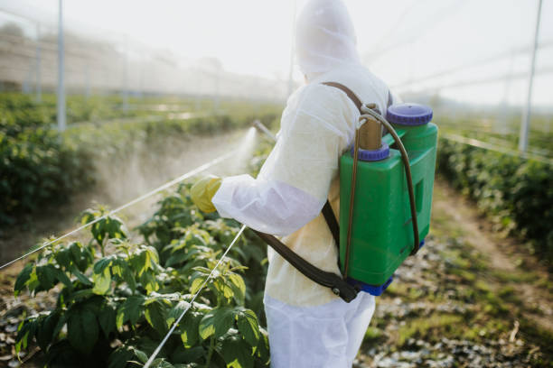 Best Pest Removal Services  in Mount Pleasant, IA